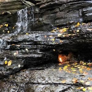 Meet your Posher, Tim